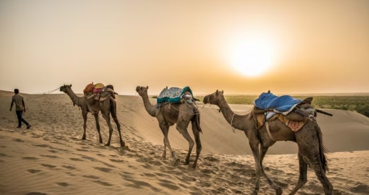 jaisalmer-sightseeing-tour-package